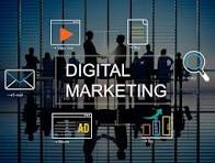 Digital Marketing Program